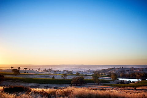 Fowles Wine - Tourism Guide 0