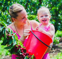 Cherryhill Orchards - Travel Agents