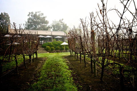 GREENSTONE VINEYARDS - Tourism Guide 4