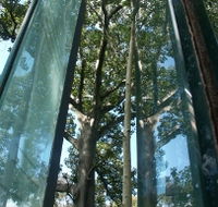 Sydney Sculpture Walk - Cruises Travel