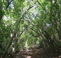 Eucalypt Trail - Tourism Guide