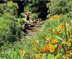 Bonaira Native Gardens - Tourism Guide 0