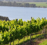 Two Figs Winery - Travel Agents