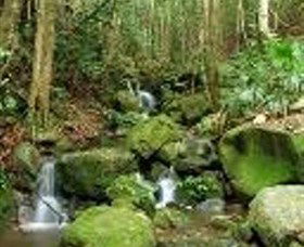Budderoo National Park - Tourism Guide 0