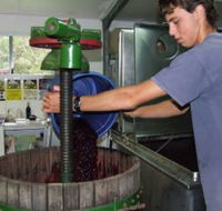 Fern Gully Winery - Tourism Guide
