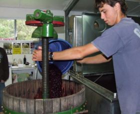 Fern Gully Winery - Tourism Guide 0