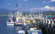 Snug Cove - thumb 0