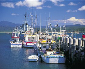 Snug Cove - Tourism Guide 0