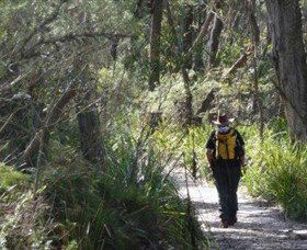 Barren Grounds Nature Reserve - Tourism Guide 0