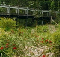 Eurobodalla Botanic Gardens - Tourism Guide