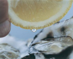 Pearly Oyster Bar And Farm - Cruises Travel 0