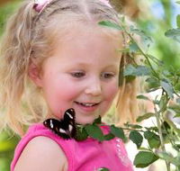 Coffs Harbour Butterfly House - Tourism Guide