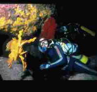 Solitary Islands Marine Park - Tourism Guide