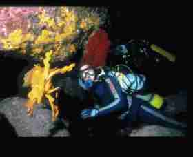 Solitary Islands Marine Park - Travel Agents 0