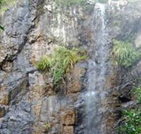 Wedding Bells Forest Drive - Tourism Guide