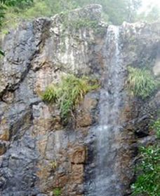 Wedding Bells Forest Drive - Travel Agents 0