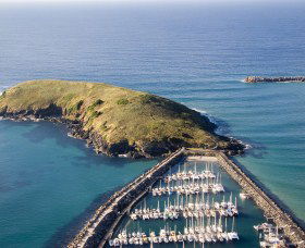 Muttonbird Island Nature Reserve - Tourism Guide 0
