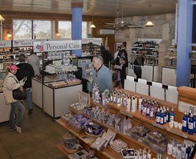 Pokolbin Estate Vineyard - Travel Agents 2