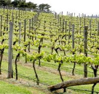 Bantry Grove - Tourism Guide