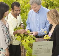 Jacob's Creek Vineyard Tour - Tourism Guide