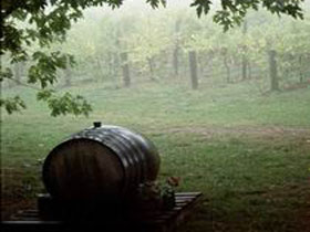 Arranmore Wines - Travel Search 2