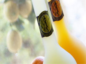 Ambra Limoncello - Tourism Guide 0
