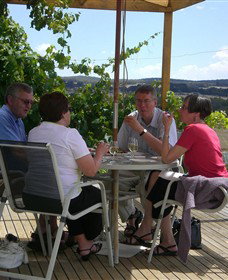Zig Zag Rd Winery - Tourism Guide 2