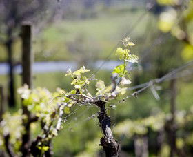 Galli Estate Winery - Cruises Travel 0