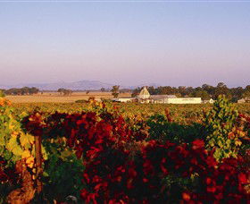 Morris Wines - Cruises Travel 0