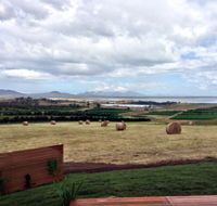 The Hazards Vineyard - Devil's Corner - Tourism Guide