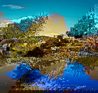 Loira Vines - Travel Agents