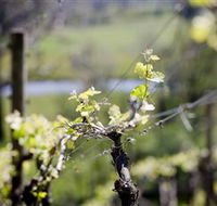 Barrgowan Vineyard - Cruises Travel