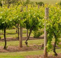 Mt Coghill Vineyard - Tourism Guide