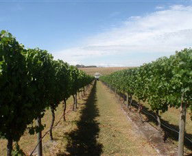Cannibal Creek Vineyard - Tourism Guide 1