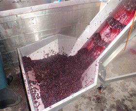 Cannibal Creek Vineyard - Tourism Guide 6