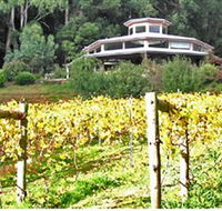 Peveril Vineyard/Beechy Berries - Tourism Guide