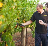 Fratin Brothers Vineyard - Travel Agents