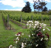 Pembroke Estate Vineyard - Tourism Guide