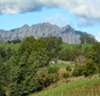 Lake Barrington Vineyard - Tourism Guide