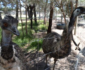 Narana Aboriginal Cultural Centre - Tourism Guide 4
