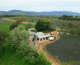 Staghorn Flat VIC Tourism Guide