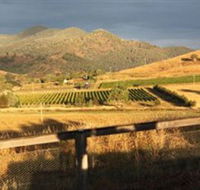 Optimiste Wines - Tourism Guide