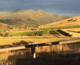 Optimiste Wines - Travel Agents 0