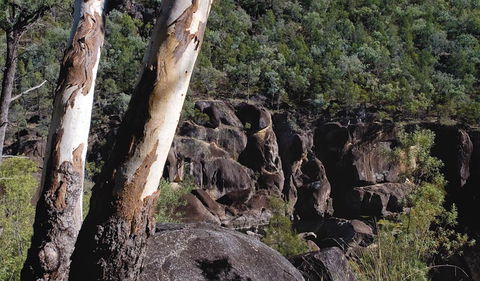 Macintyre Falls Lookout - Tourism Guide 3