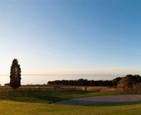 Jack Rabbit Vineyard - Tourism Guide 3