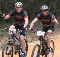 Trailhead Bike Co. - Travel Agents