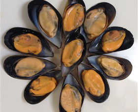 Advance Mussel Supply - Tourism Guide 3