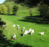 Karmic Goat Soapworks - Travel Agents