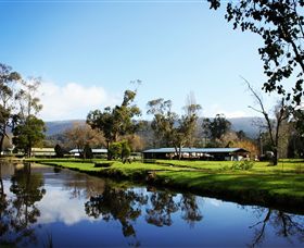 Buxton Trout & Salmon Farm - Cruises Travel 0