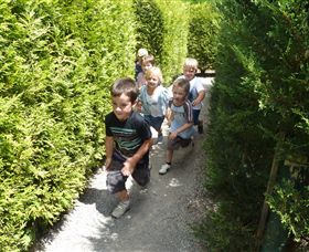 Hedgend Maze And Healesville Laser Sport - Travel Agents 1
